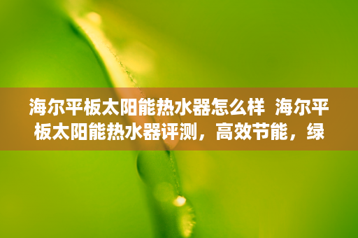 海尔平板太阳能热水器怎么样  海尔平板太阳能热水器评测，高效节能，绿色环保，您的理想之选！