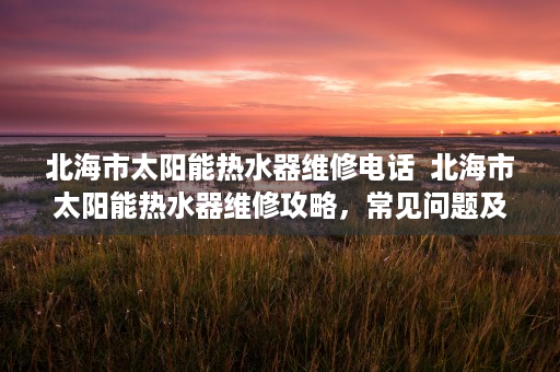 北海市太阳能热水器维修电话  北海市太阳能热水器维修攻略，常见问题及解决方法大揭秘