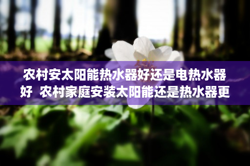 农村安太阳能热水器好还是电热水器好  农村家庭安装太阳能还是热水器更划算？全方位对比分析