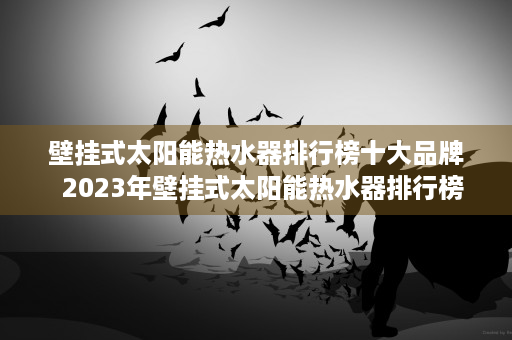 壁挂式太阳能热水器排行榜十大品牌  2023年壁挂式太阳能热水器排行榜，选购指南与推荐