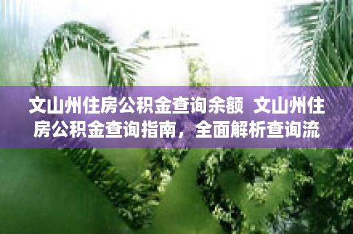 文山州住房公积金查询余额  文山州住房公积金查询指南，全面解析查询流程及注意事项