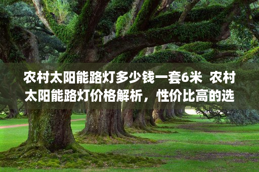 农村太阳能路灯多少钱一套6米  农村太阳能路灯价格解析，性价比高的选购指南