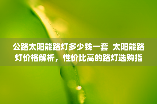 公路太阳能路灯多少钱一套  太阳能路灯价格解析，性价比高的路灯选购指南