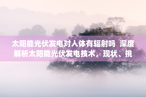 太阳能光伏发电对人体有辐射吗  深度解析太阳能光伏发电技术，现状、挑战与未来发展趋势