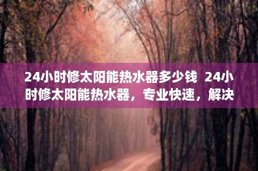 24小时修太阳能热水器多少钱  24小时修太阳能热水器，专业快速，解决您的热水问题！