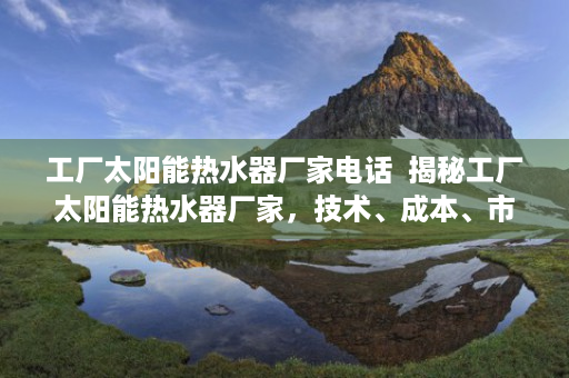 工厂太阳能热水器厂家电话  揭秘工厂太阳能热水器厂家，技术、成本、市场趋势全解析