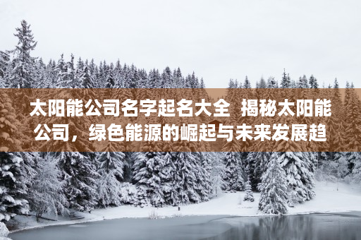 太阳能公司名字起名大全  揭秘太阳能公司，绿色能源的崛起与未来发展趋势