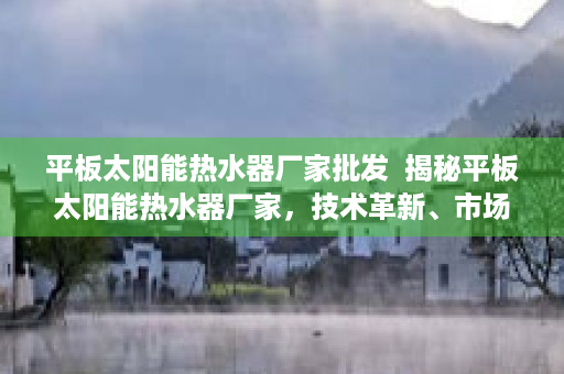 平板太阳能热水器厂家批发  揭秘平板太阳能热水器厂家，技术革新、市场前景与选购指南