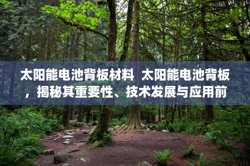 太阳能电池背板材料  太阳能电池背板，揭秘其重要性、技术发展与应用前景