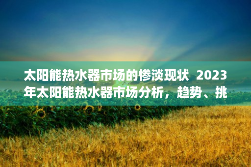 太阳能热水器市场的惨淡现状  2023年太阳能热水器市场分析，趋势、挑战与机遇并存