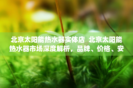 北京太阳能热水器实体店  北京太阳能热水器市场深度解析，品牌、价格、安装与维护全攻略