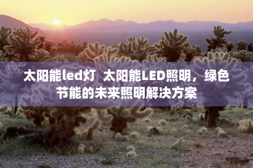 太阳能led灯  太阳能LED照明，绿色节能的未来照明解决方案