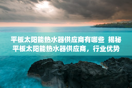 平板太阳能热水器供应商有哪些  揭秘平板太阳能热水器供应商，行业优势、选购技巧及未来发展趋势