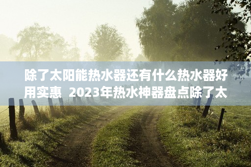 除了太阳能热水器还有什么热水器好用实惠  2023年热水神器盘点除了太阳能热水器，还有哪些热水器让你生活更舒适？