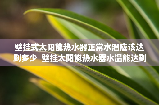 壁挂式太阳能热水器正常水温应该达到多少  壁挂太阳能热水器水温能达到多少度？揭秘太阳能热水器的温度奥秘