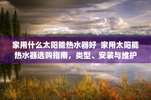 家用什么太阳能热水器好  家用太阳能热水器选购指南，类型、安装与维护全解析