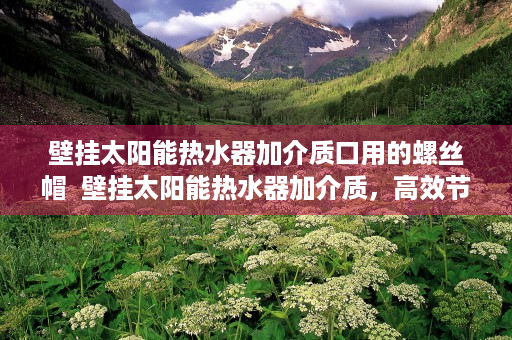 壁挂太阳能热水器加介质口用的螺丝帽  壁挂太阳能热水器加介质，高效节能的秘密武器