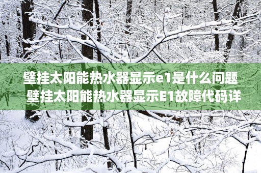 壁挂太阳能热水器显示e1是什么问题  壁挂太阳能热水器显示E1故障代码详解及解决方法