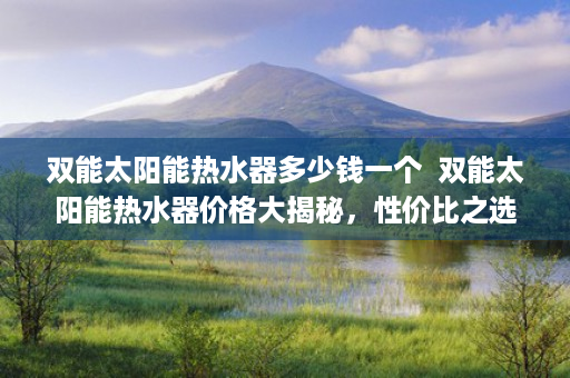 双能太阳能热水器多少钱一个  双能太阳能热水器价格大揭秘，性价比之选，你值得拥有！