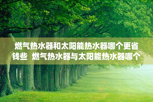 燃气热水器和太阳能热水器哪个更省钱些  燃气热水器与太阳能热水器哪个更省钱？全面对比分析