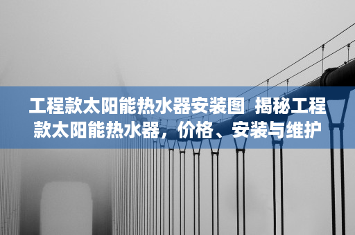 工程款太阳能热水器安装图  揭秘工程款太阳能热水器，价格、安装与维护全攻略