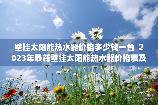 壁挂太阳能热水器价格多少钱一台  2023年最新壁挂太阳能热水器价格表及选购攻略