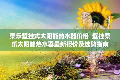 桑乐壁挂式太阳能热水器价格  壁挂桑乐太阳能热水器最新报价及选购指南