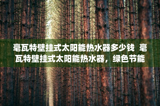 毫瓦特壁挂式太阳能热水器多少钱  毫瓦特壁挂式太阳能热水器，绿色节能新选择，为您打造健康环保生活