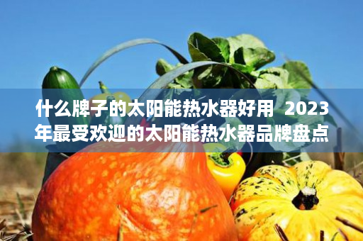 什么牌子的太阳能热水器好用  2023年最受欢迎的太阳能热水器品牌盘点，哪种牌子值得你选择？