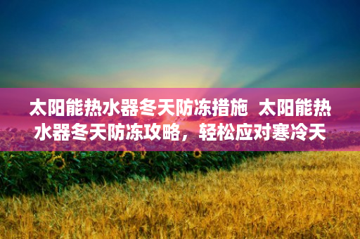 太阳能热水器冬天防冻措施  太阳能热水器冬天防冻攻略，轻松应对寒冷天气，确保热水供应