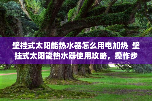 壁挂式太阳能热水器怎么用电加热  壁挂式太阳能热水器使用攻略，操作步骤详解及常见问题解答