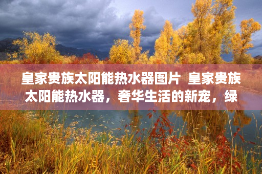 皇家贵族太阳能热水器图片  皇家贵族太阳能热水器，奢华生活的新宠，绿色环保的守护者