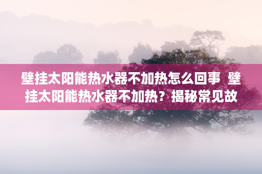 壁挂太阳能热水器不加热怎么回事  壁挂太阳能热水器不加热？揭秘常见故障及解决方法！