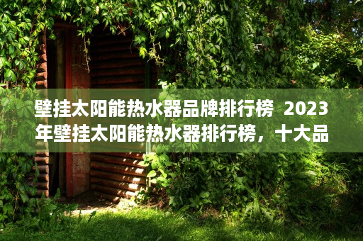 壁挂太阳能热水器品牌排行榜  2023年壁挂太阳能热水器排行榜，十大品牌推荐，节能环保新选择！